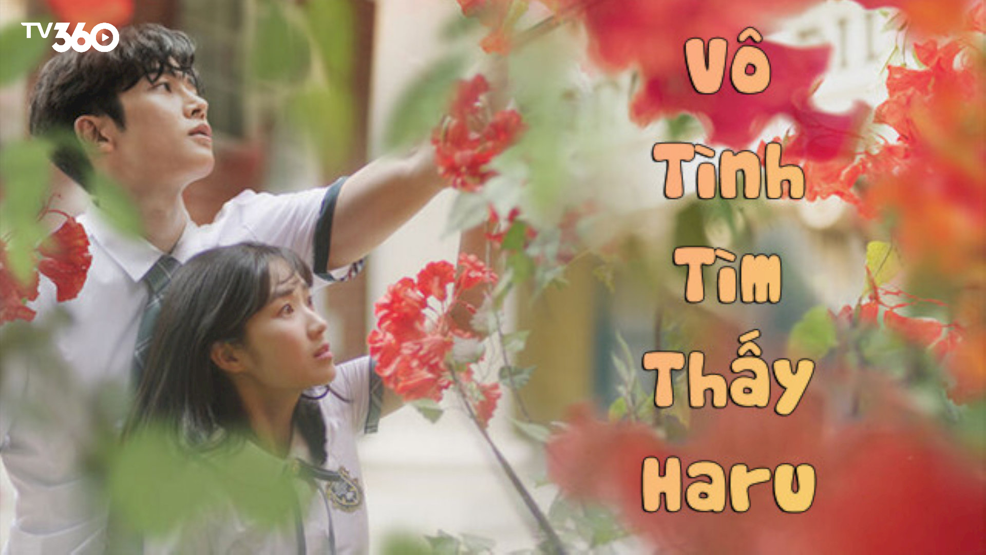 “Vô Tình Tìm Thấy Haru” đưa khán giả trở về ngày tháng thanh xuân mộng mơ, đầy hoài niệm 