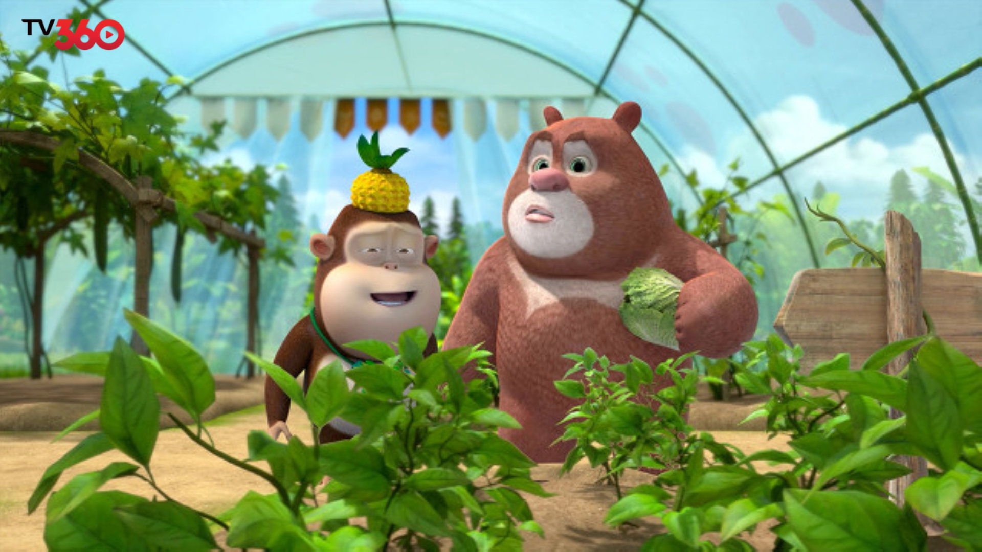 Cùng những chú gấu học cách trồng rau