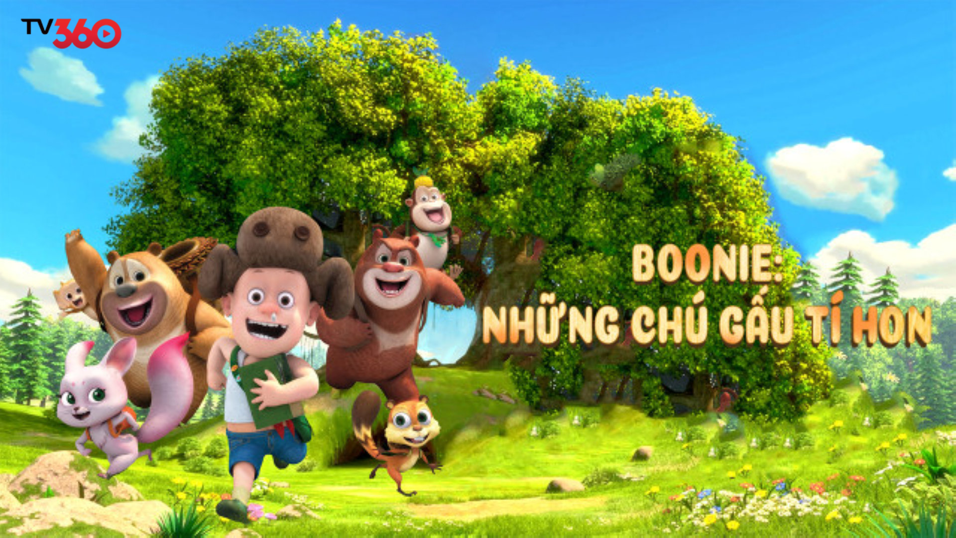 Những chú gấu tí hon dưới bầu trời xanh trong rừng