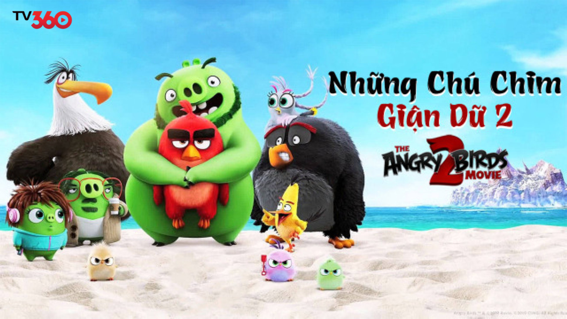 Bãi biển trong xanh cùng những chú chim giận dữ nhưng trông rất yêu