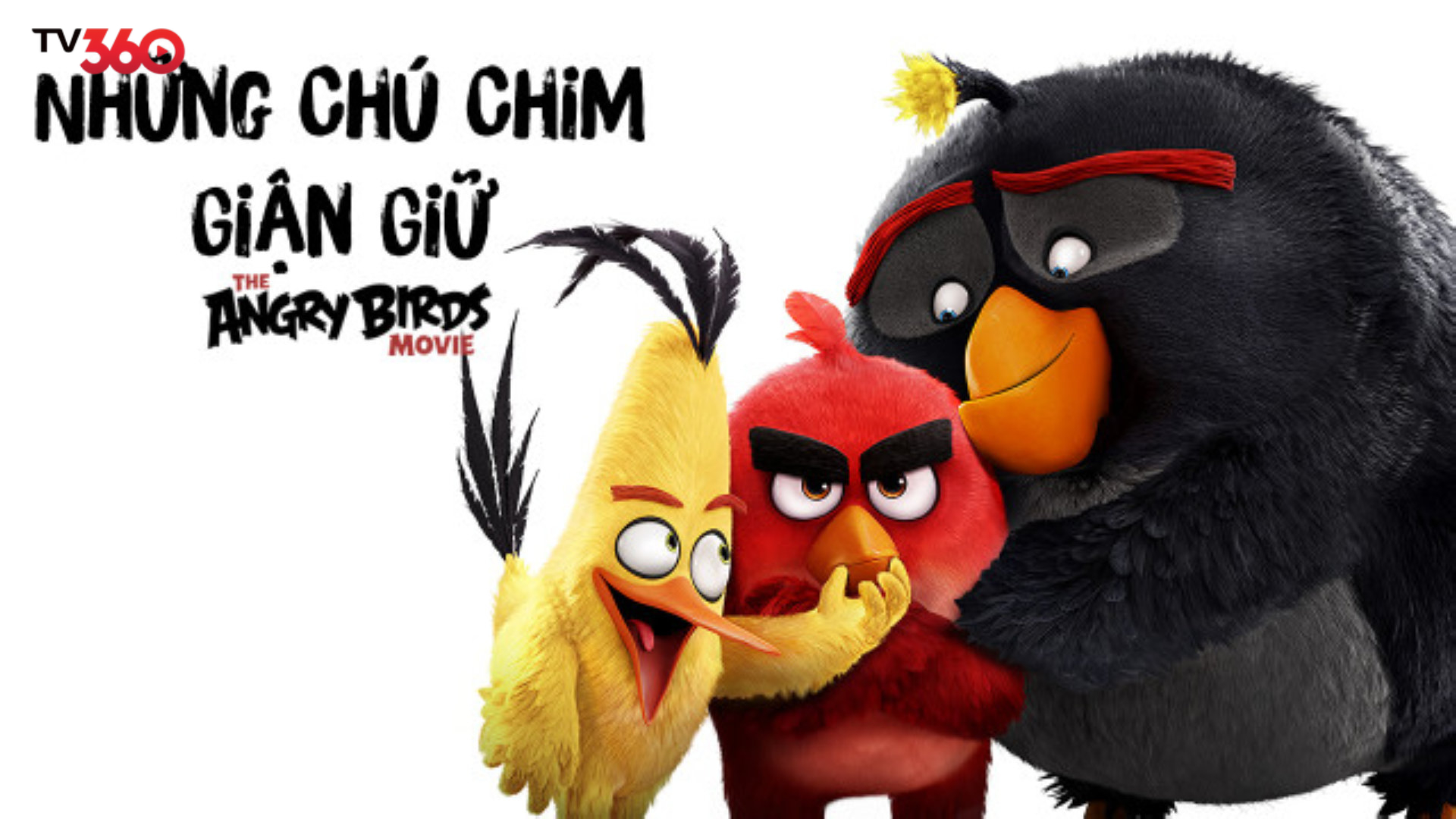 Phim Những Chú Chim Giận Dữ