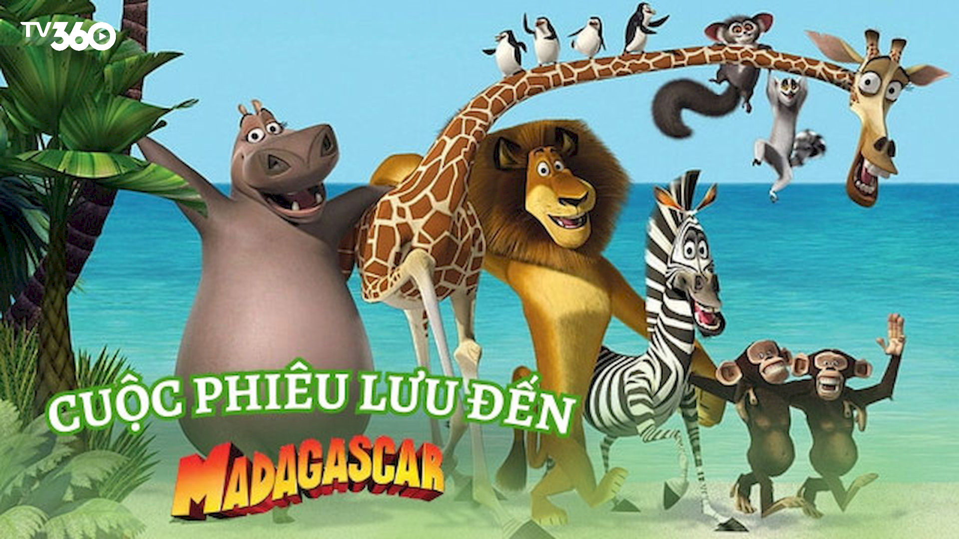 Bốn con thú ở sở thú New York lạc đến Madagascar, học cách sinh tồn và đối mặt với bản năng hoang dã cùng hiểm nguy