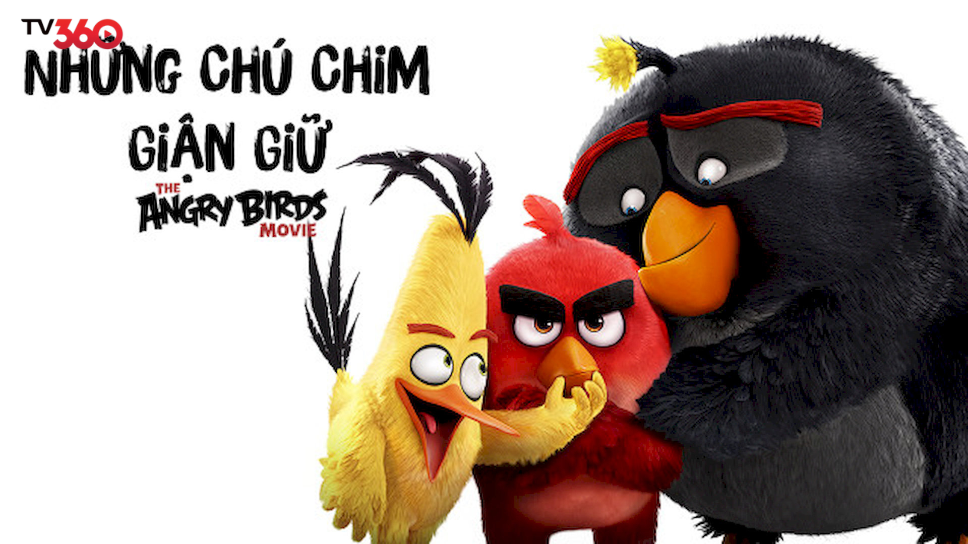 Red, Chuck và Bomb hợp sức chống lại bầy heo xanh cướp trứng để bảo vệ đảo Bird Island