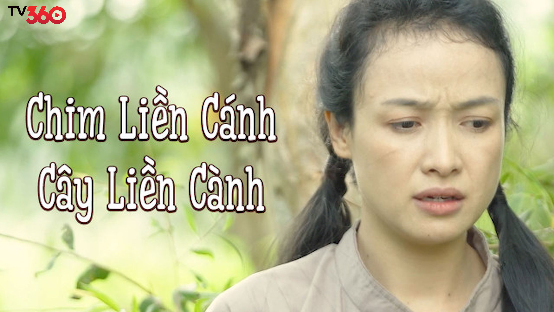 Phim Chim Liền Cánh Cây Liền Cành