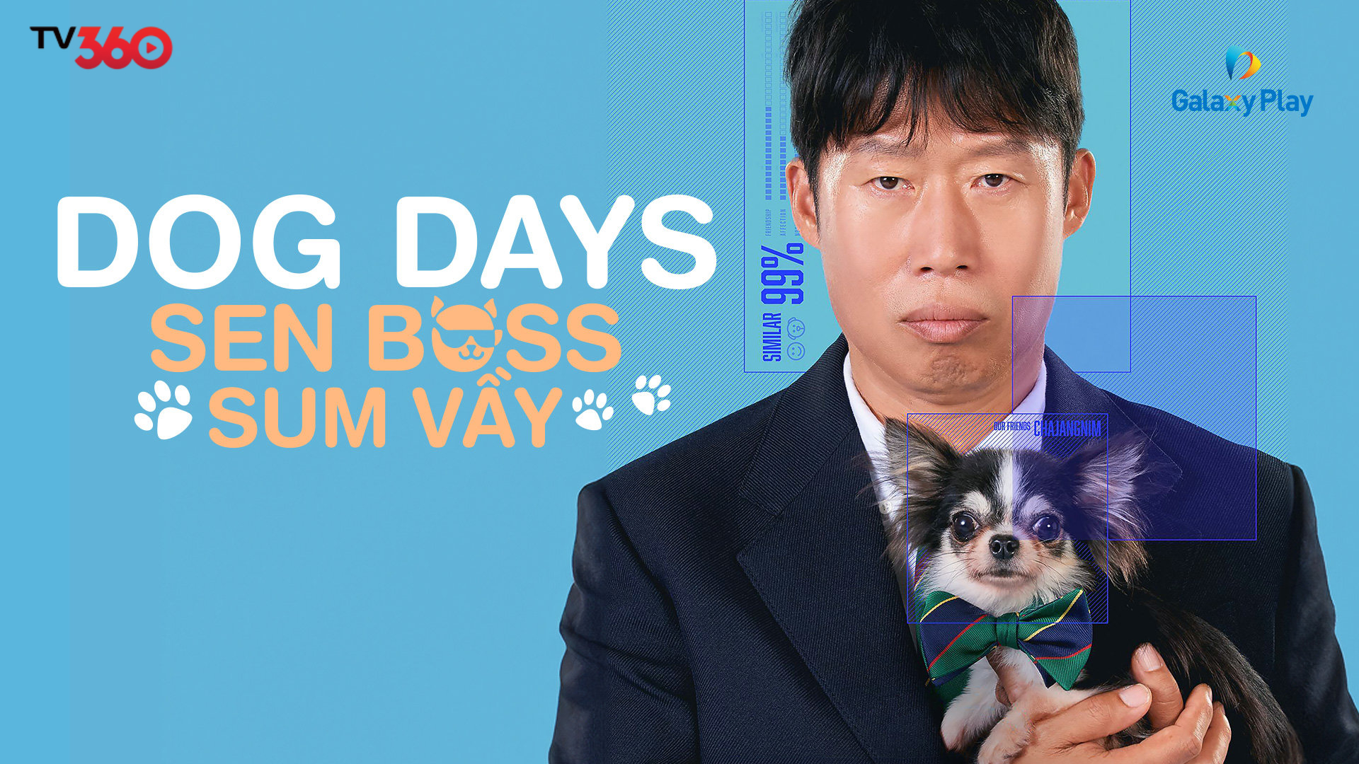 Wanda: Chú chó bị lạc, sợi dây kết nối những trái tim cô đơn