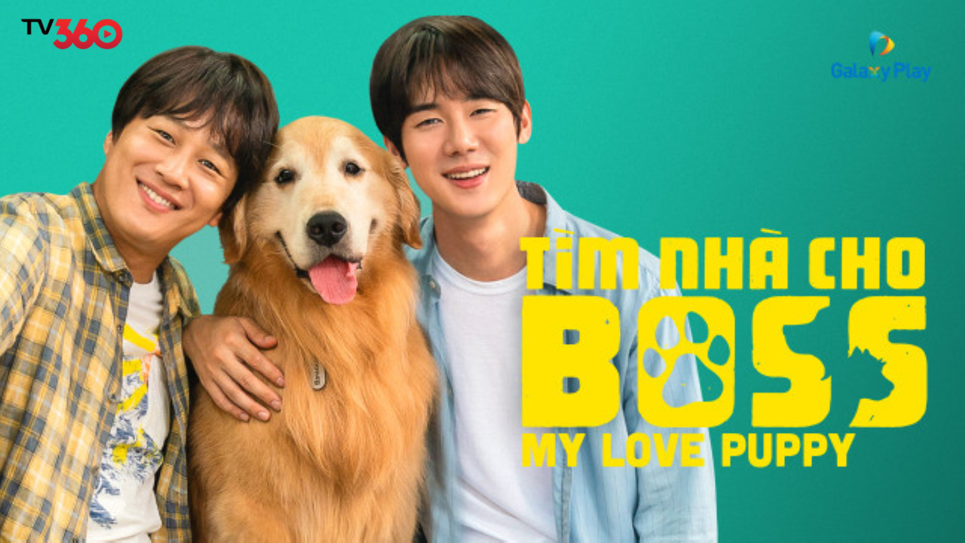 Min Su và Runie: Mối gắn kết đặc biệt giữa chủ và 'boss' trên hành trình tìm kiếm mái ấm