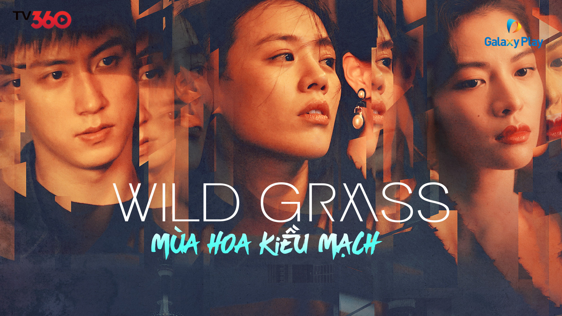 Giữa cánh đồng hoa kiều mạch, họ tìm thấy sự đồng điệu và sẻ chia trong hành trình trưởng thành