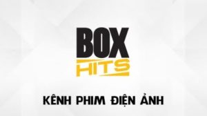 kênh box hits