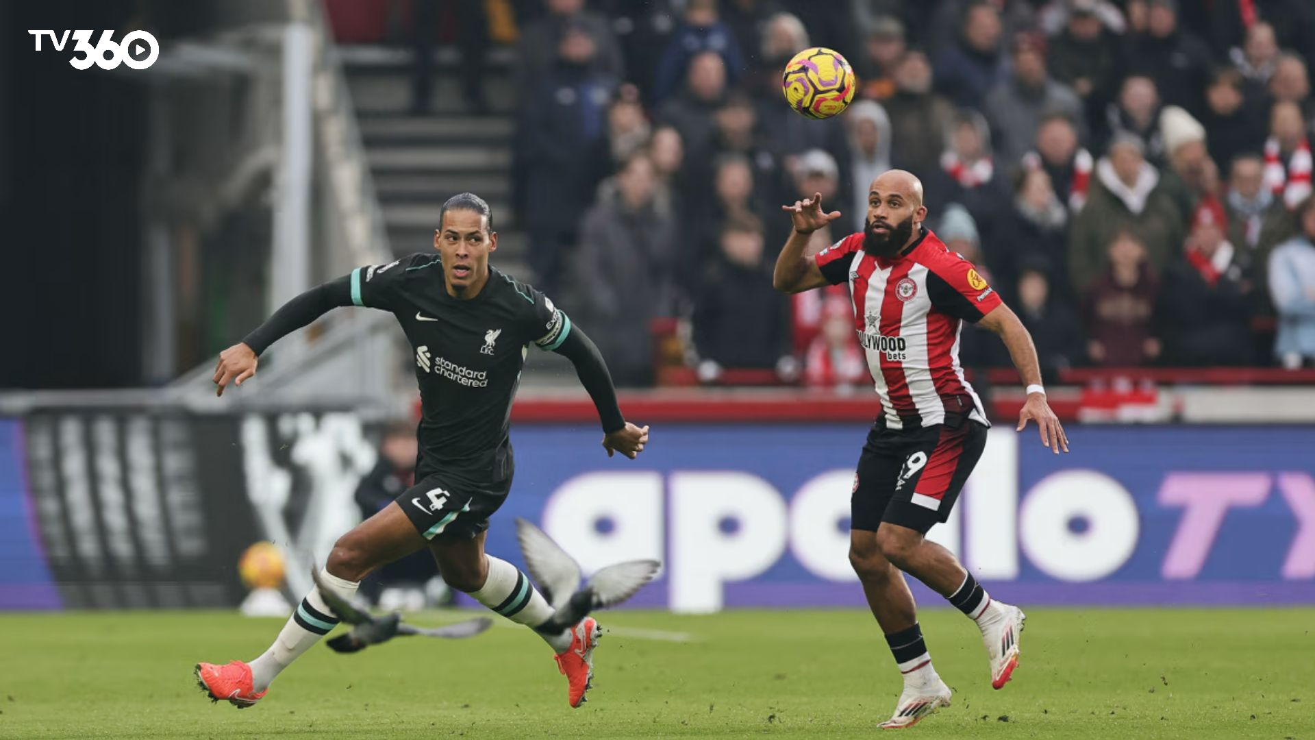 Thống kê bảng thành tích gần đây của Brentford và Liverpool