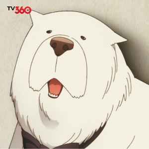 Bond Forger, chú chó tiên tri của gia đình