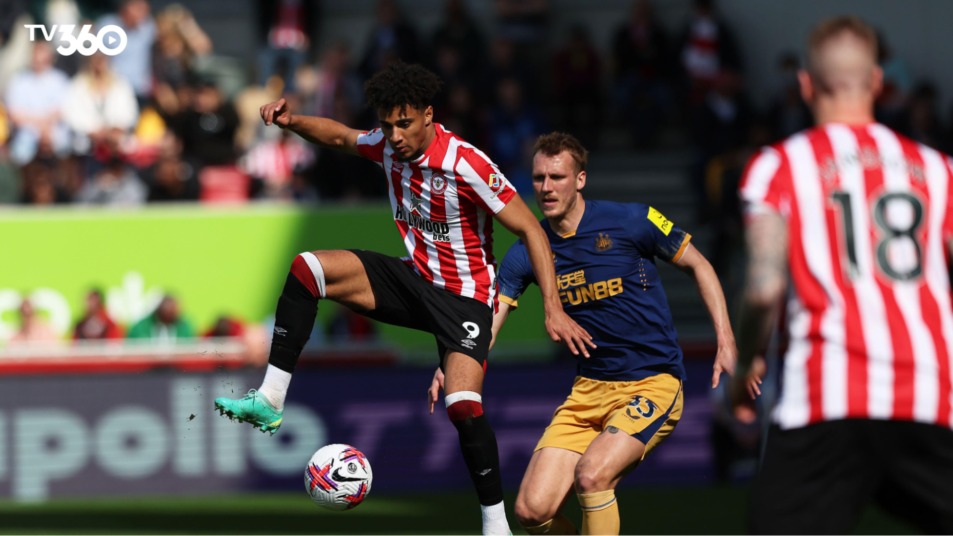 Trận đấu Brentford vs Newcastle