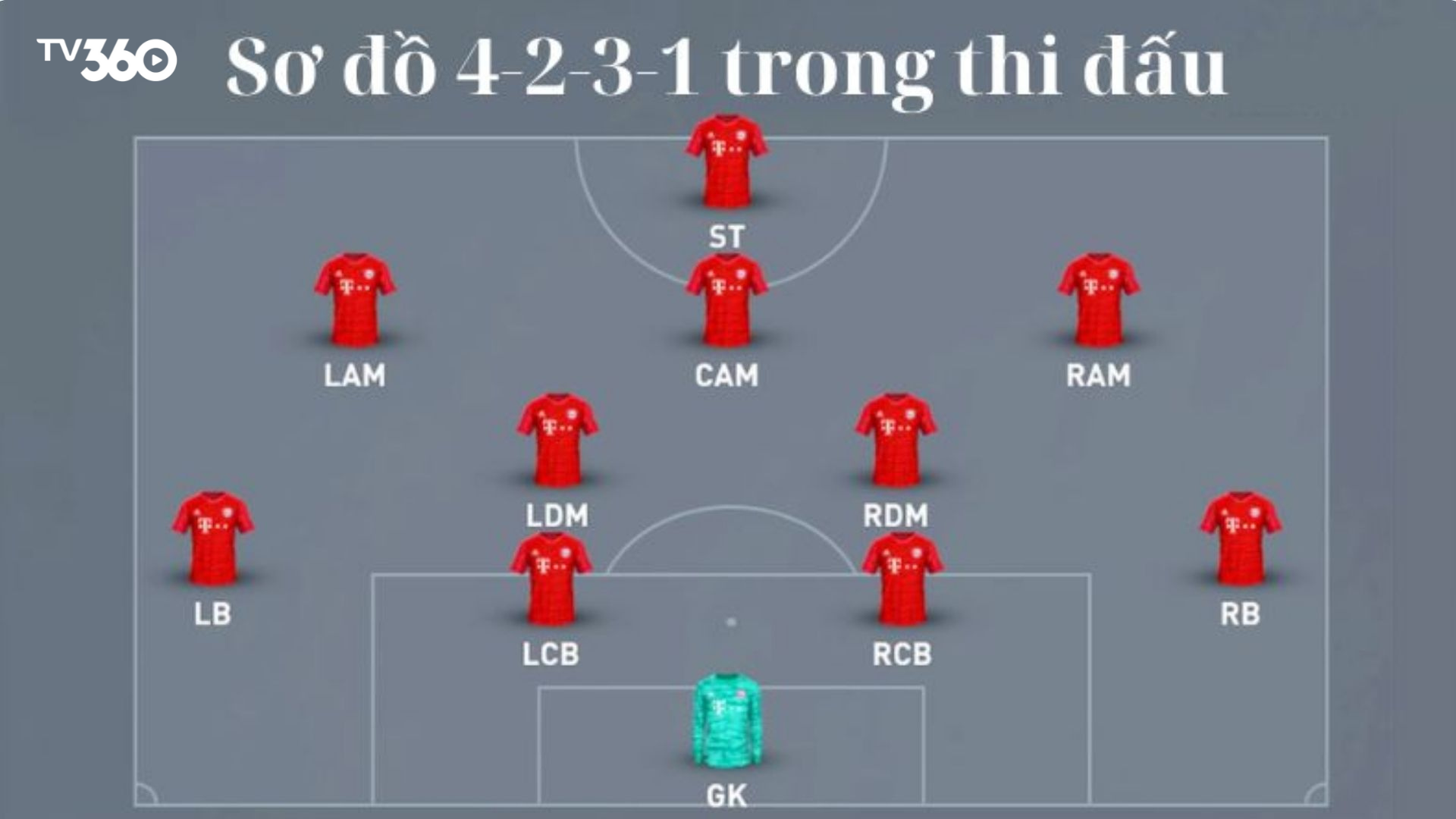 Đội hình 4-2-3-1 giúp đội tuyển Hungary phát triển tốt các đợt tấn công nhanh
