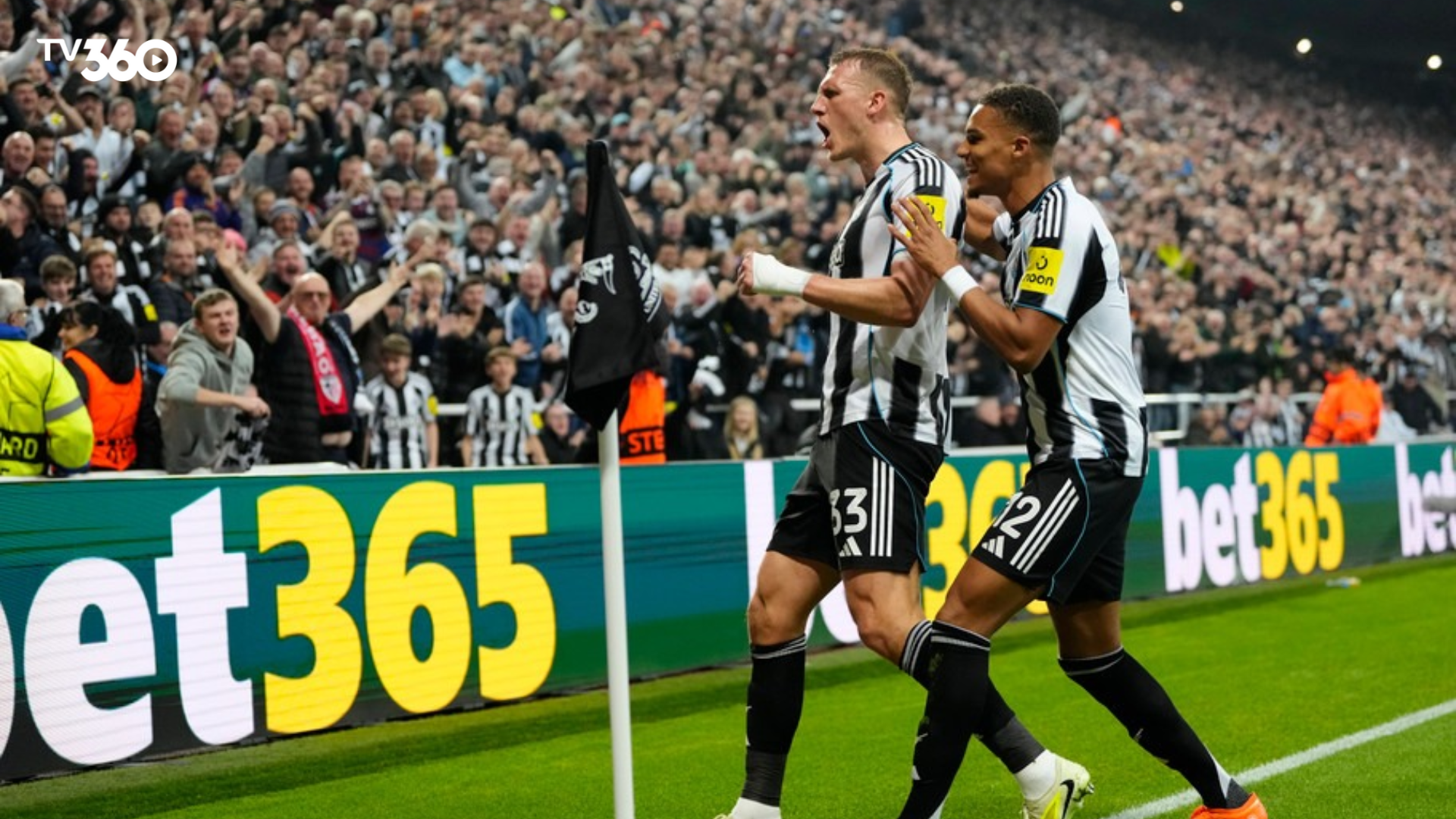 Thống kê thành tích gần đây của Marseille vs Newcastle