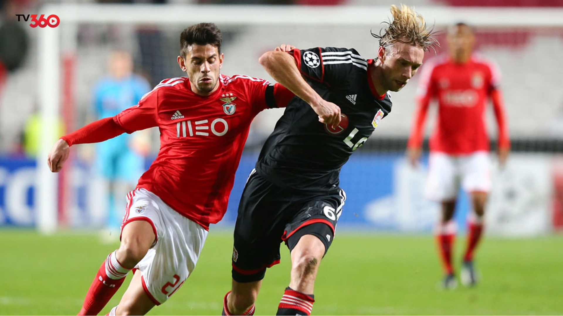 Thống kê thành tích gần đây của Benfica vs Bayer Leverkusen