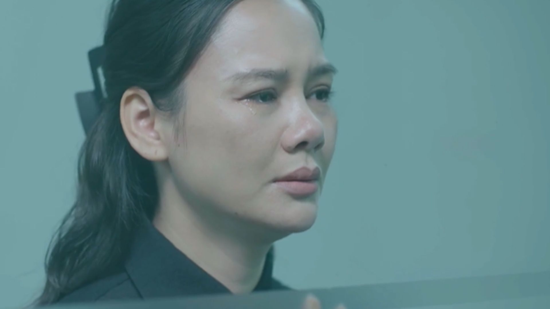 Phạm Ngọc Triển dùng mọi lý lẽ để thuyết phục ông Nguyễn Văn Thủy can thiệp vào tiến trình điều tra của Viện Kiểm sát