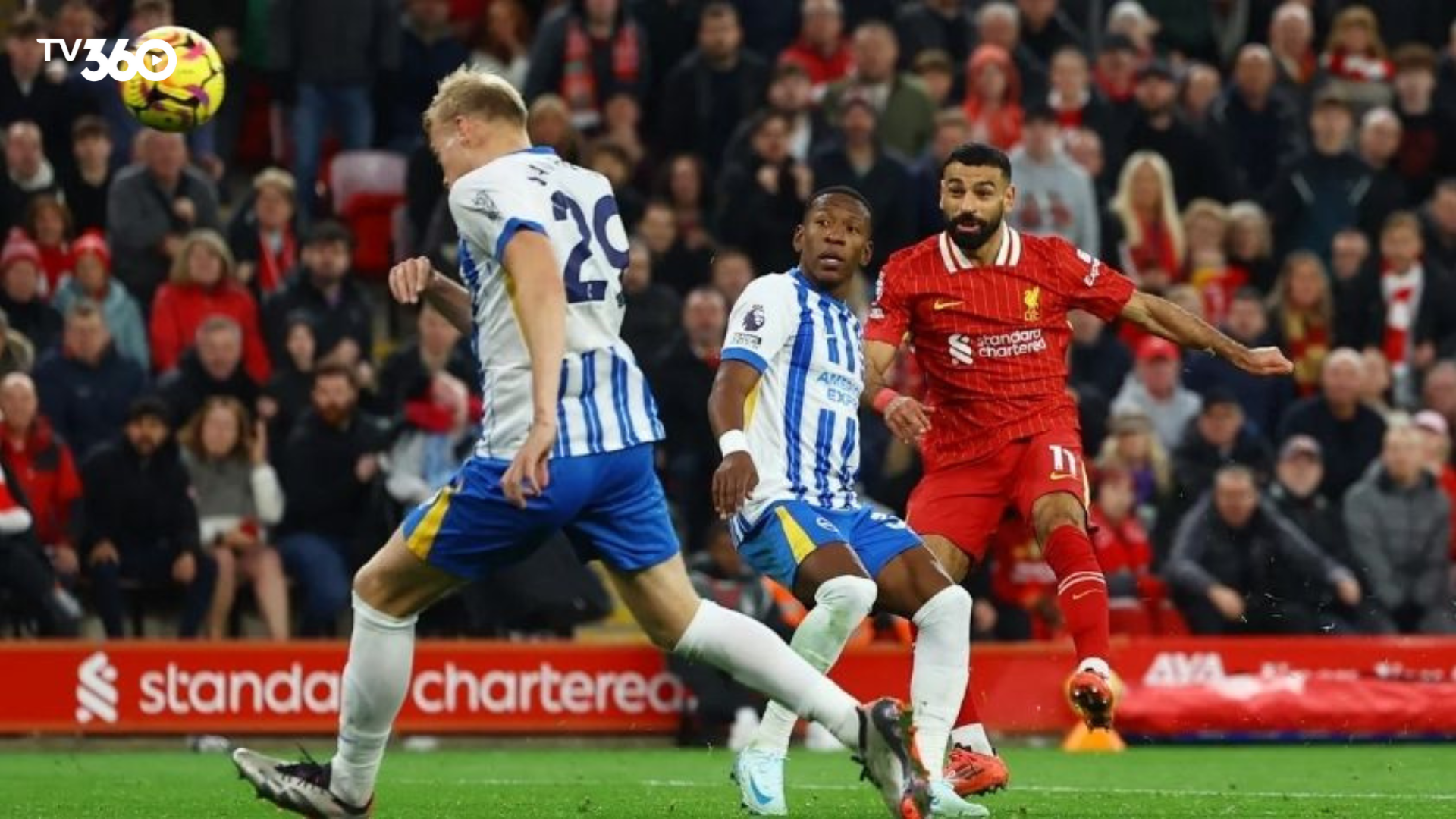 Cuộc chiến đầy kịch tính chuẩn bị diễn ra giữa Liverpool vs Brighton