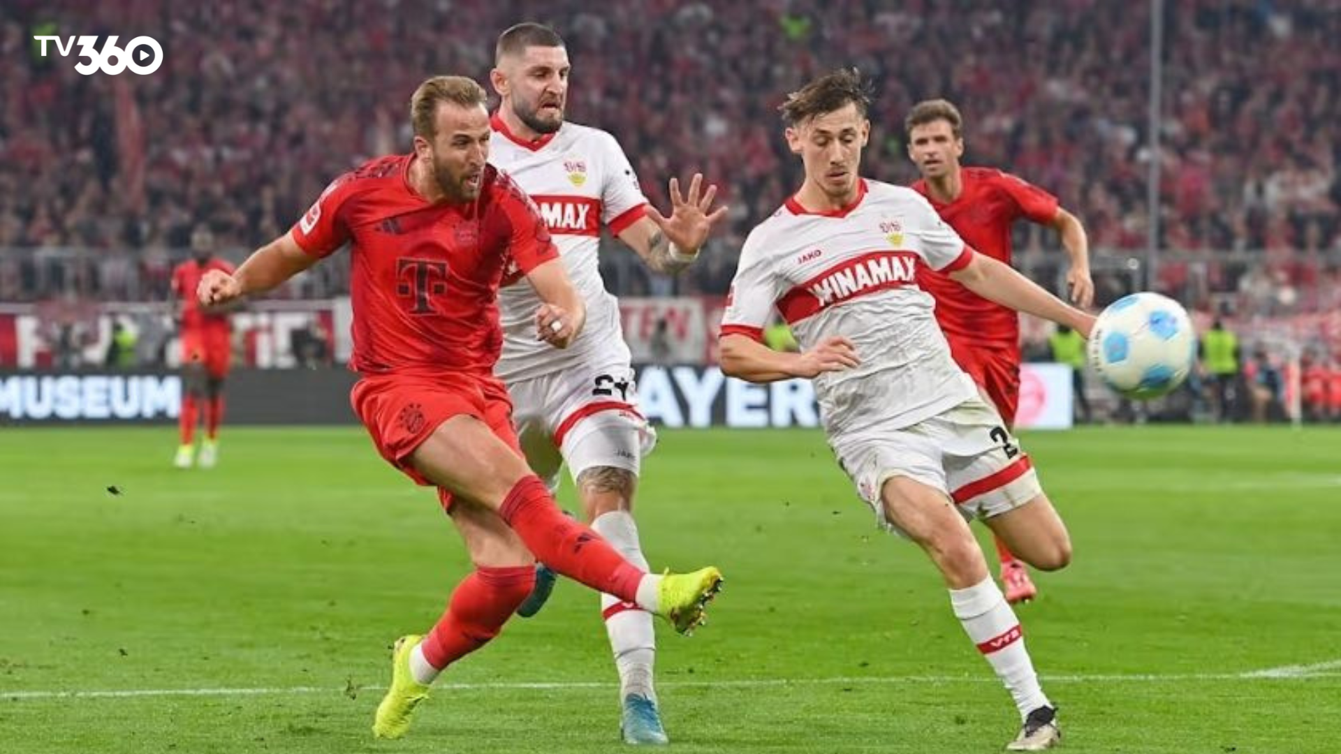 Cả Stuttgart và Bayern Munich đều đang cố gắng tận dụng lợi thế