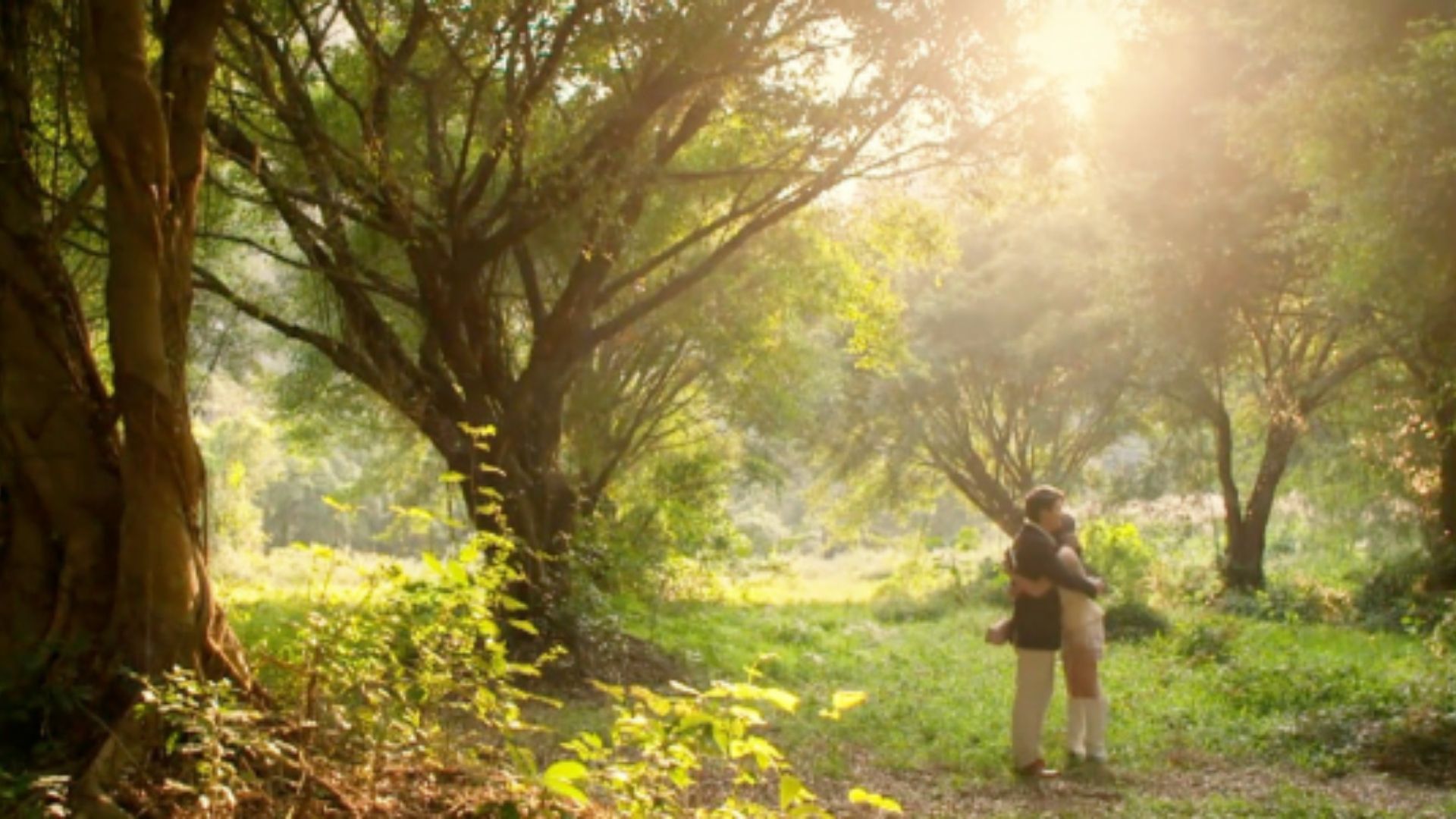 Tú trực tiếp xách vali rời đi, nỗ lực bắt đầu cuộc sống độc lập và trực tiếp khép lại những ồn ào tình ái tại quê nhà