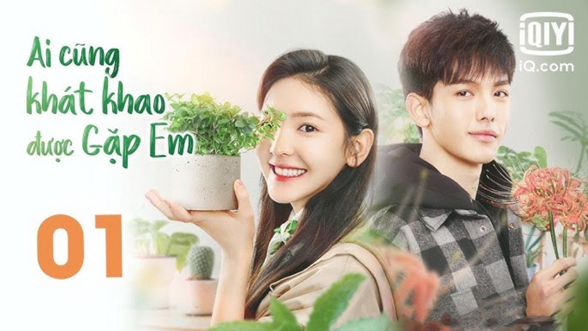 Tình yêu như hơi thở trong lành giữa lòng thành phố sầm uất.