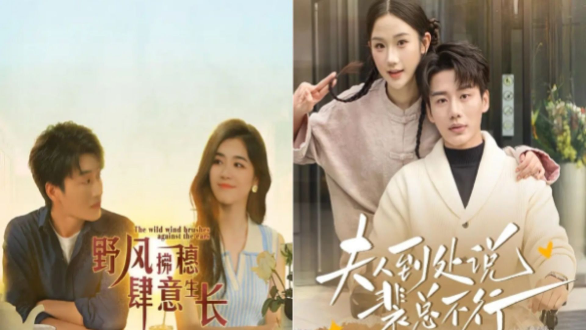 “Gió Nội Lay Bông, Mặc Sức Vươn Mình” và “Phu Nhân Đi Khắp Nơi Rêu Rao Bùi Tổng “Yếu”” là 2 trong nhiều bộ phim tiêu biểu của Lý Tử Kiệt