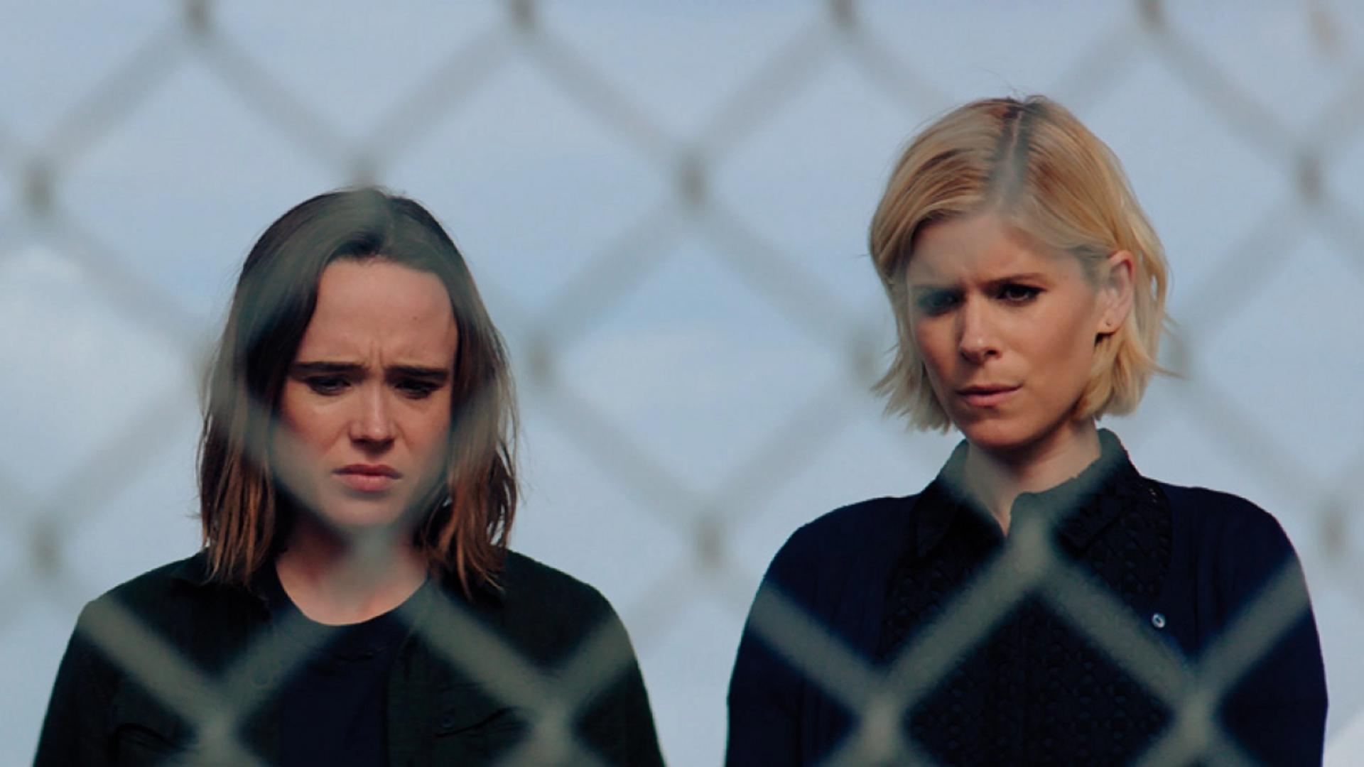 Mối tình ngang trái giữa hai chiến tuyến của công lý và lòng thù hận.