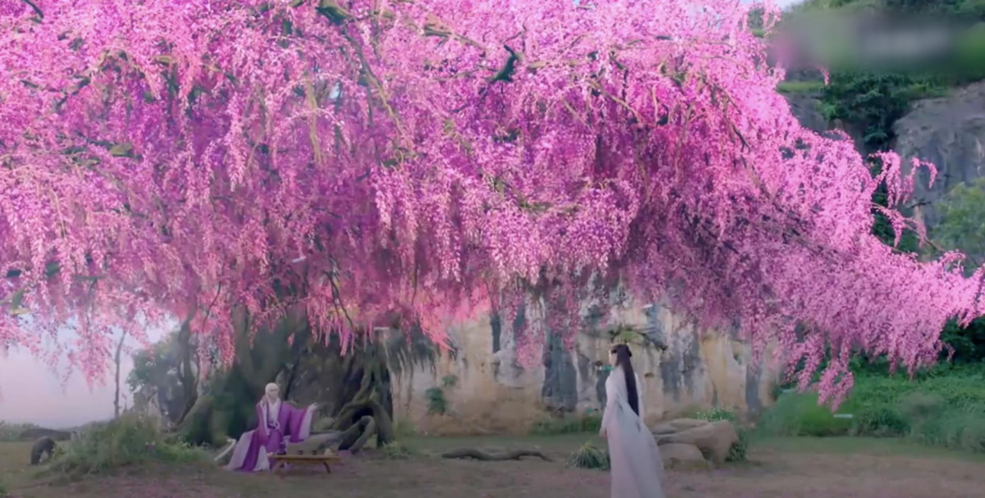 Mối nhân duyên xuyên kiếp của nàng hồ ly si tình và vị tôn thần đá lạnh.