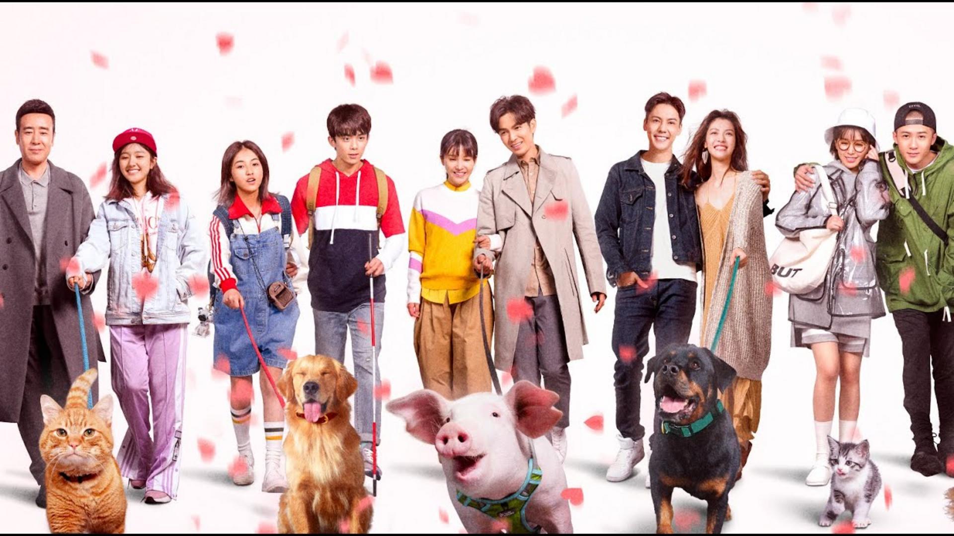 Những điều nhỏ bé mang lại niềm hạnh phúc to lớn giữa lòng đô thị.