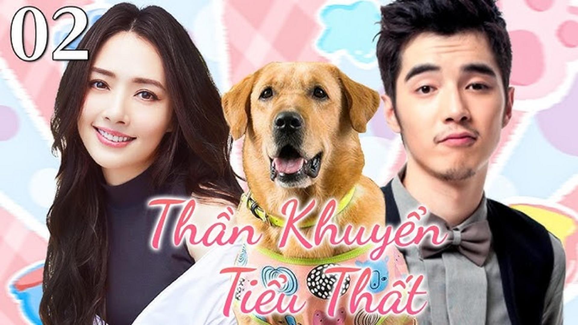 Hành trình chinh phục trái tim qua những điều nhỏ bé của người bạn bốn chân.