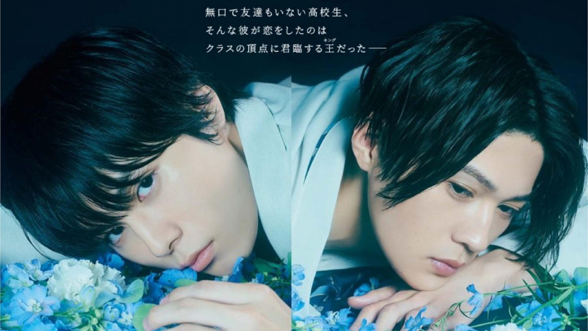 Khi sự ngưỡng mộ mù quáng trở thành một tình yêu sâu đậm và bền bỉ.