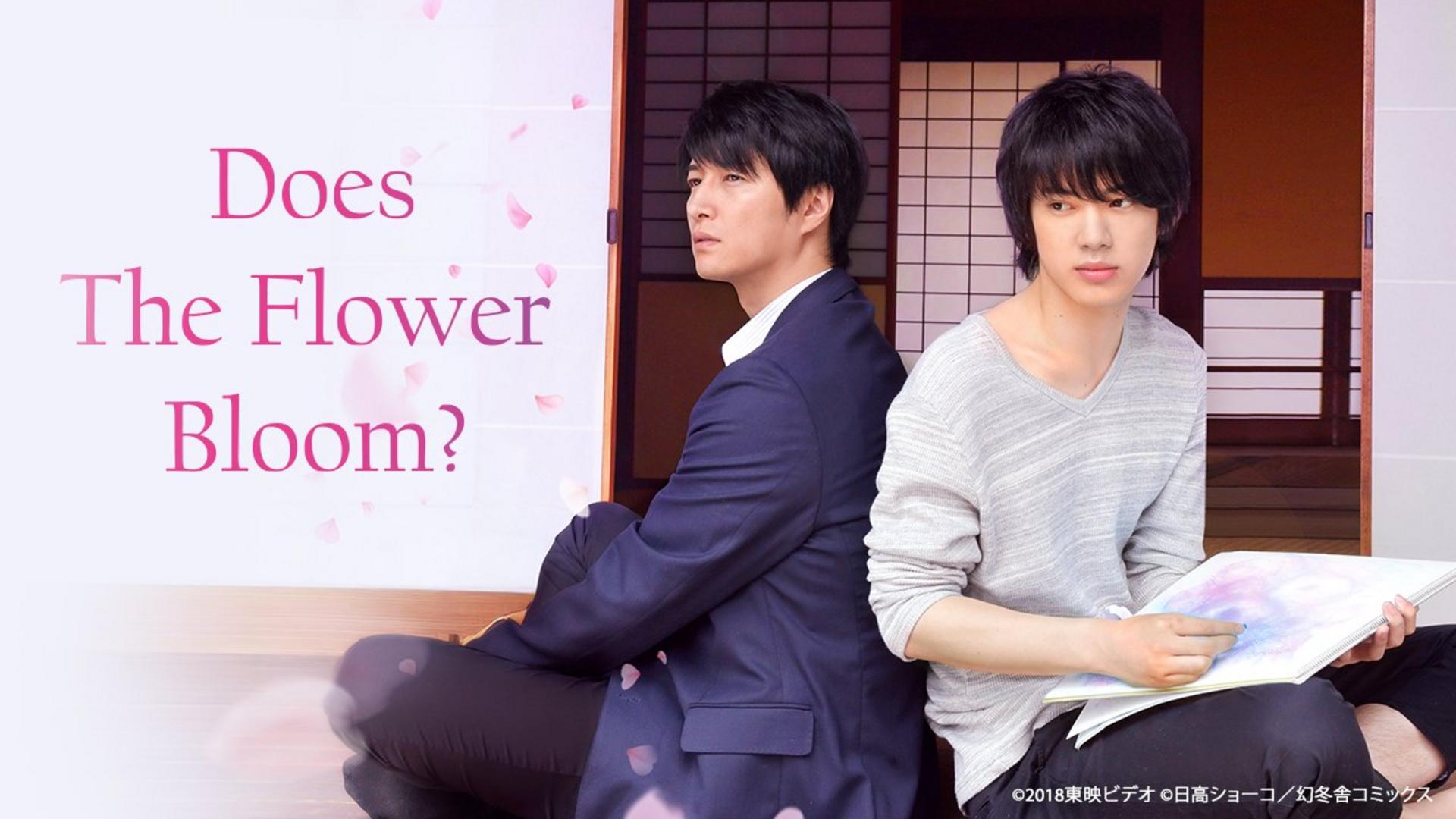 Khi những cánh hoa nở rộ cũng là lúc trái tim tìm thấy câu trả lời.