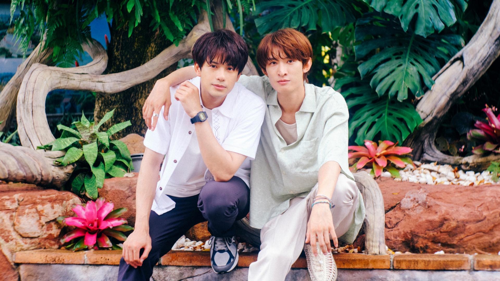 Khi âm nhạc cất lời, những rung động cũ lại bắt đầu ngân vang rực rỡ.