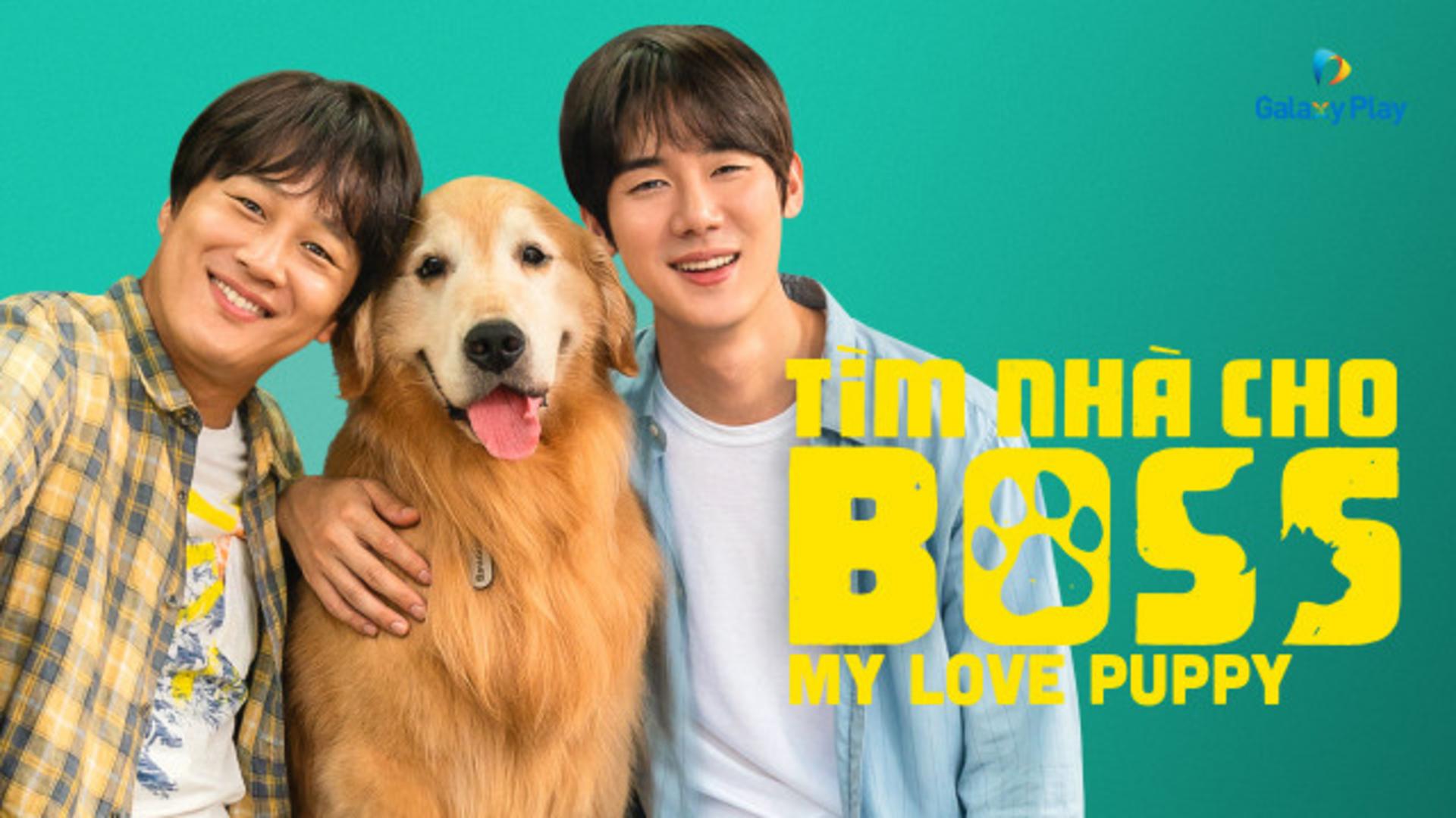 Tìm Nhà Cho Boss là bộ phim chữa lành tâm hồn, pha lẫn tiếng cười và cảm xúc – đặc biệt phù hợp với người yêu động vật, yêu cảm xúc gia đình