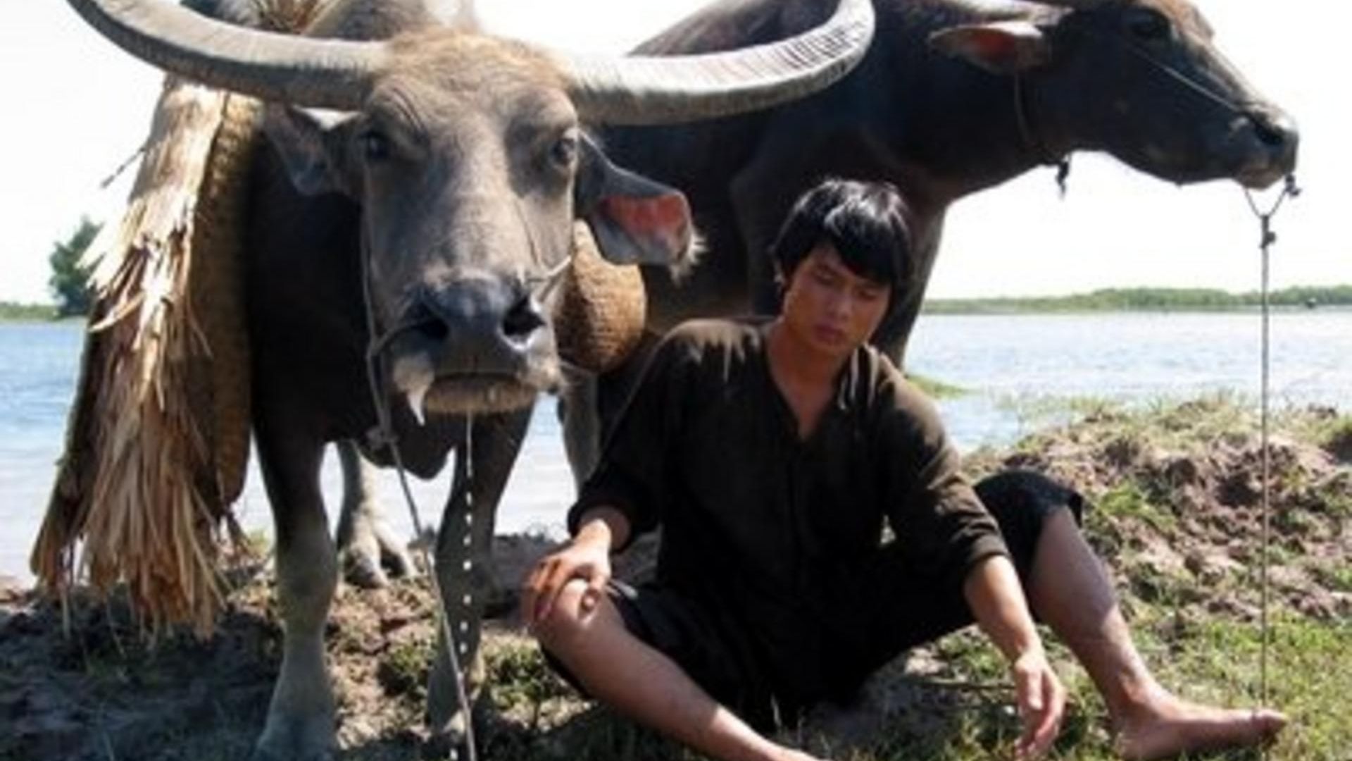 Hành trình mưu sinh đã dần trưởng thành qua những trải nghiệm khắc nghiệt của thiên nhiên