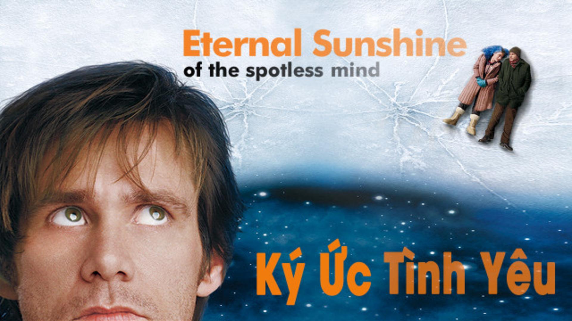 Joel và Clementine, hai người sau khi xóa ký ức tình yêu vẫn vô tình tìm lại và kết nối với nhau