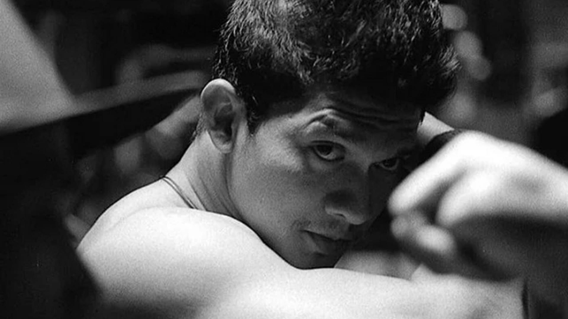 Bộ phim xoay quanh cuộc chiến sinh tồn của đội đặc nhiệm và trùm tội phạm