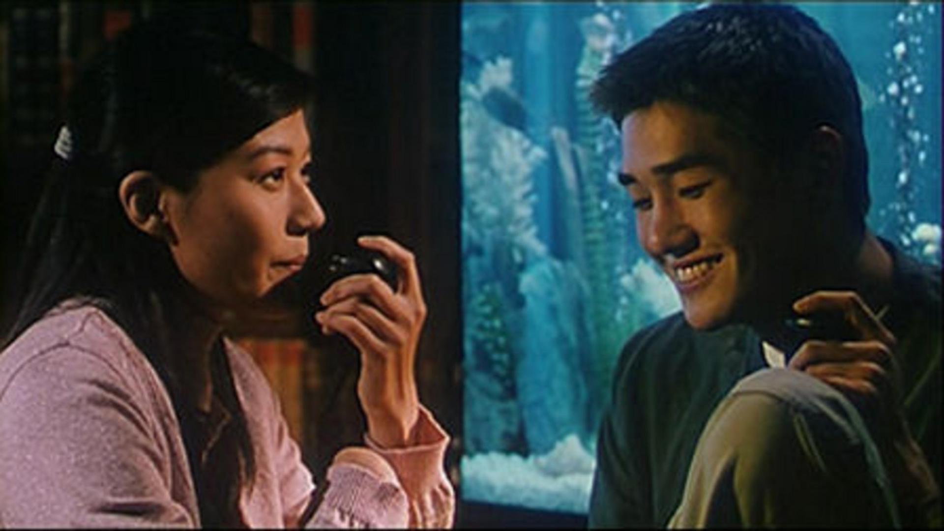 Mối liên kết kỳ diệu qua tần số radio nối liền hai tâm hồn cách biệt hai thập kỷ.