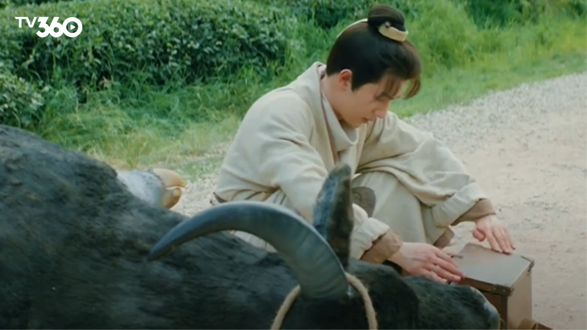 Phù Sinh lần đầu tiến gần chân tướng cái chết của Bách y