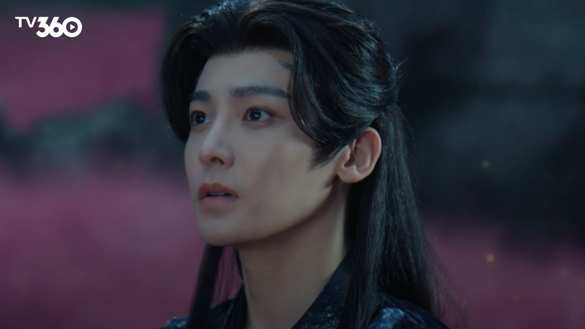 Hồng Diệp nén đau đớn, liều mình xông vào trận pháp tà độc để bảo vệ Tiêu Dao