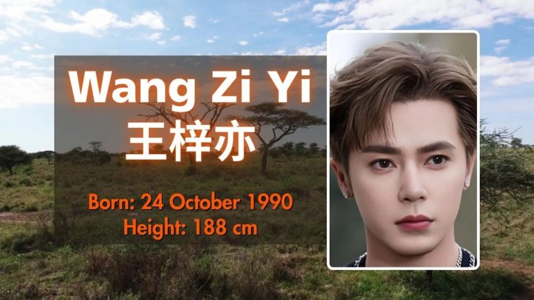 Vương Tử Diệc sở hữu gương mặt điển trai cùng với chiều cao nổi bật