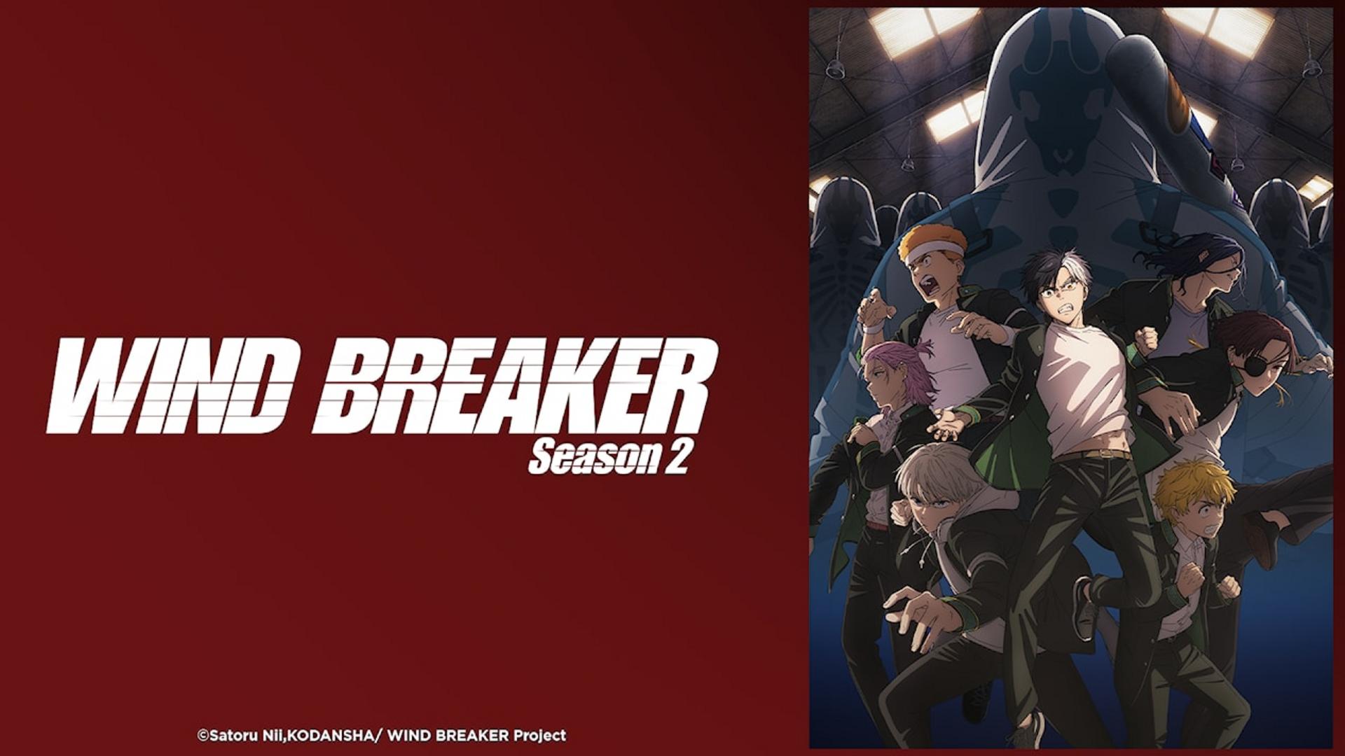 Những nắm đấm trượng nghĩa bảo vệ công lý trong thế giới học đường đầy nổi loạn.