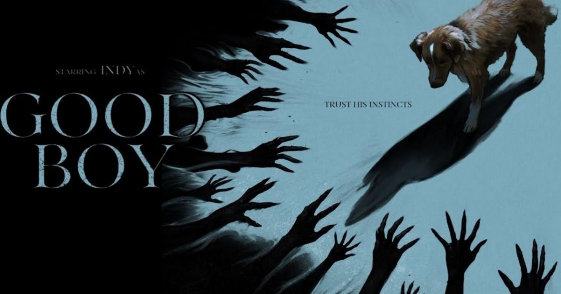 Sự bảo vệ thầm lặng của loài vật trước những hiểm họa vô hình đáng sợ.