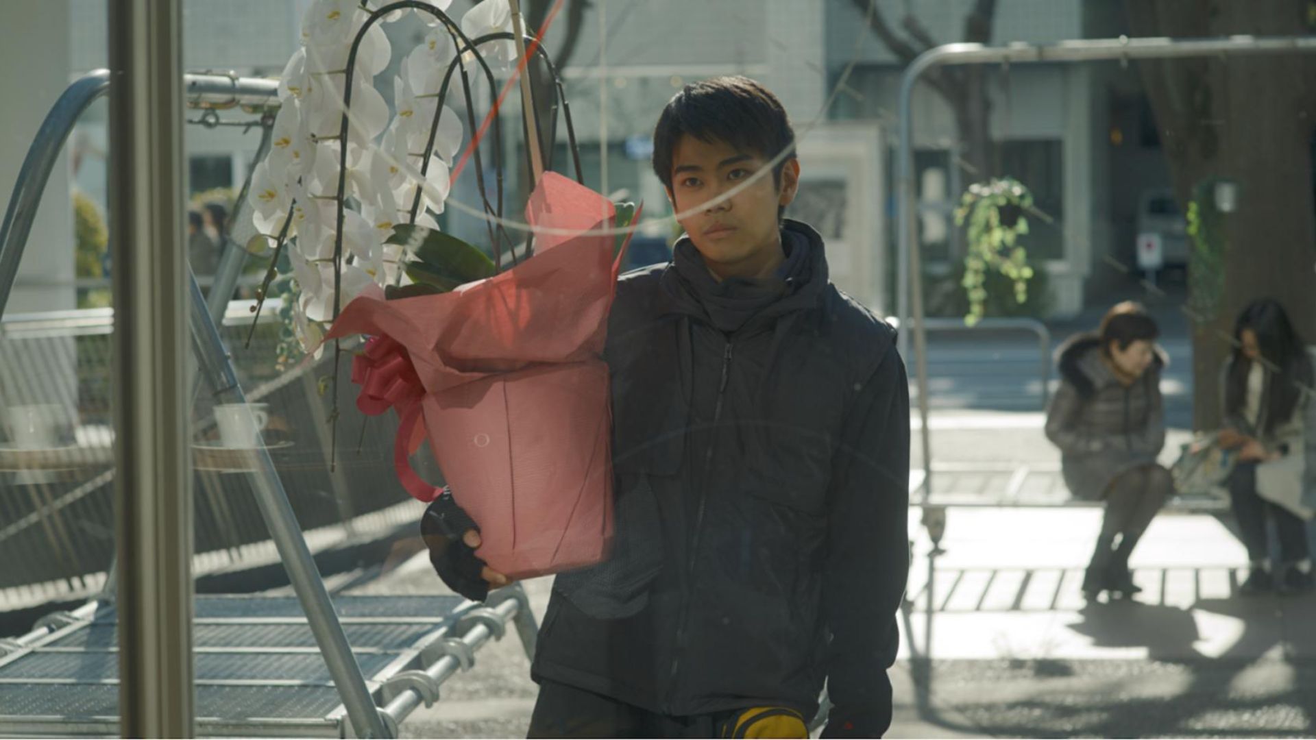 Một kiệt tác tĩnh lặng về nỗi cô đơn đô thị và sự đánh đổi của văn minh hiện đại.